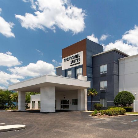 Springhill Suites By Marriott Baton Rouge South Экстерьер фото